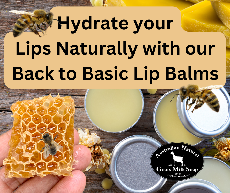 Lip Balm