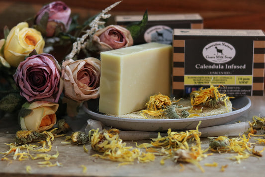 SOOTHING GOATS MILK SOAP - INFUSED CALENDULA - SENSITIVE SKIN BODY BAR