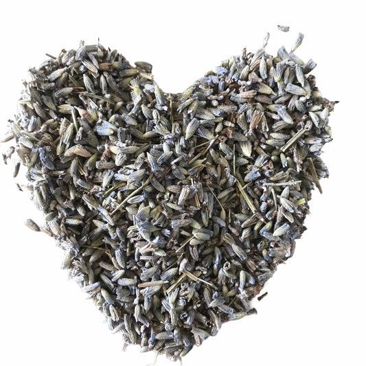 Lavender - Lavender angustifolia - Conventional Grown